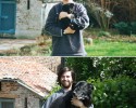 before-and-after-pictures-of-animals-3099