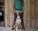 portraits-of-adopted-pets-and-their-owners-3183