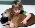 dogs-purpose-according-to-a-6-year-old-3701