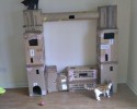 easy-to-build-pet-forts-awesomely-com-4087