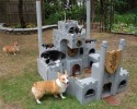 easy-to-build-pet-forts-awesomely-com-4102